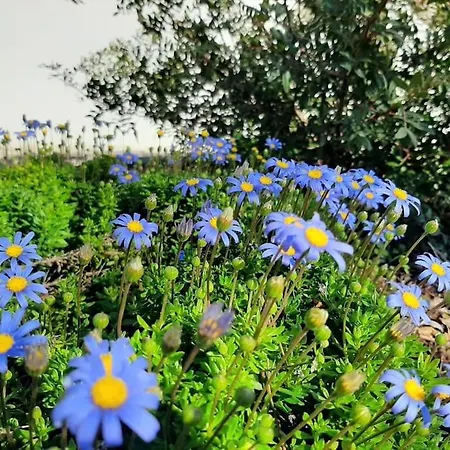 Hébergement de vacances Trullo Fino *