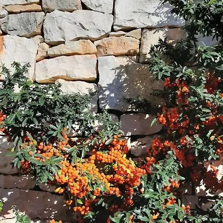 Trullo Fino *