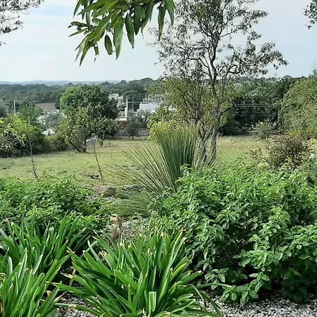 Trullo Fino *
